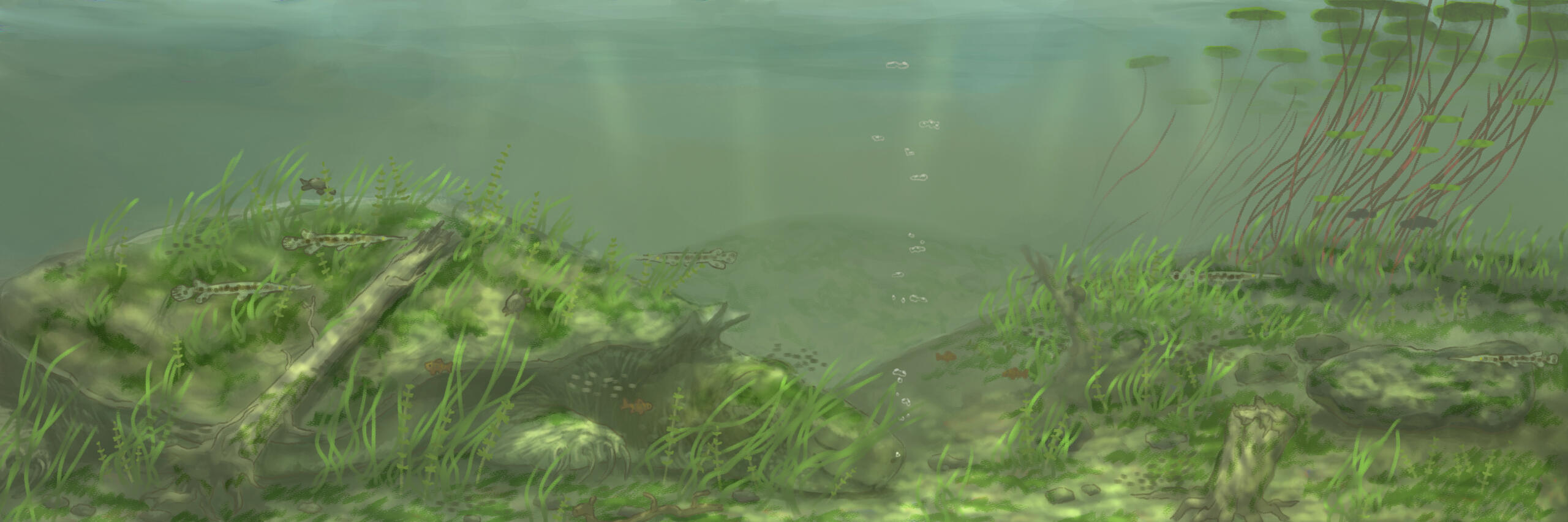 Old Man of the River