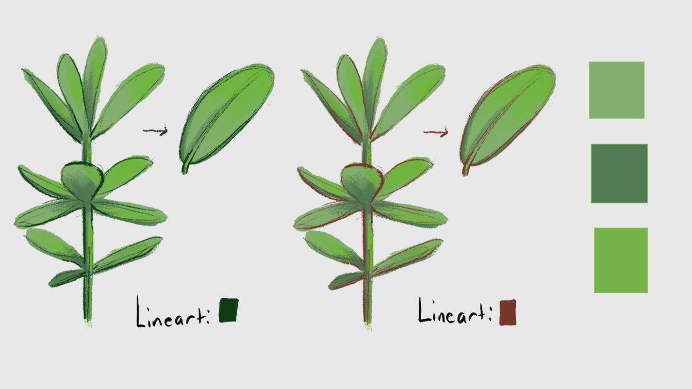 (5) Plant concept